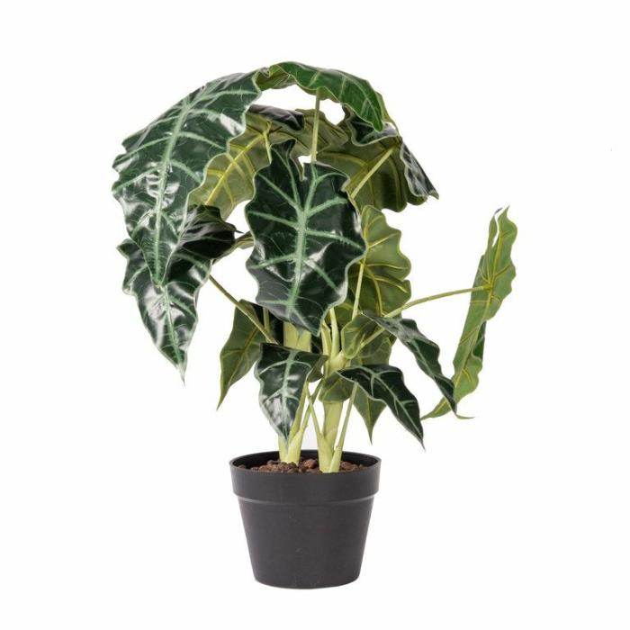 Artificial Plants & Flowers |  Artificial Alocasia Potted Artificial Plants & Flowers Artificial Plants & Flowers