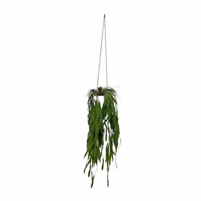 Artificial Plants & Flowers |  Artificial Aloe Bush Hanging Artificial Plants & Flowers Artificial Plants & Flowers