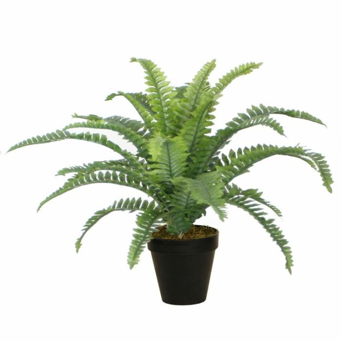 Artificial Plants & Flowers |  Artificial Boston Fern Artificial Plants & Flowers Artificial Plants & Flowers