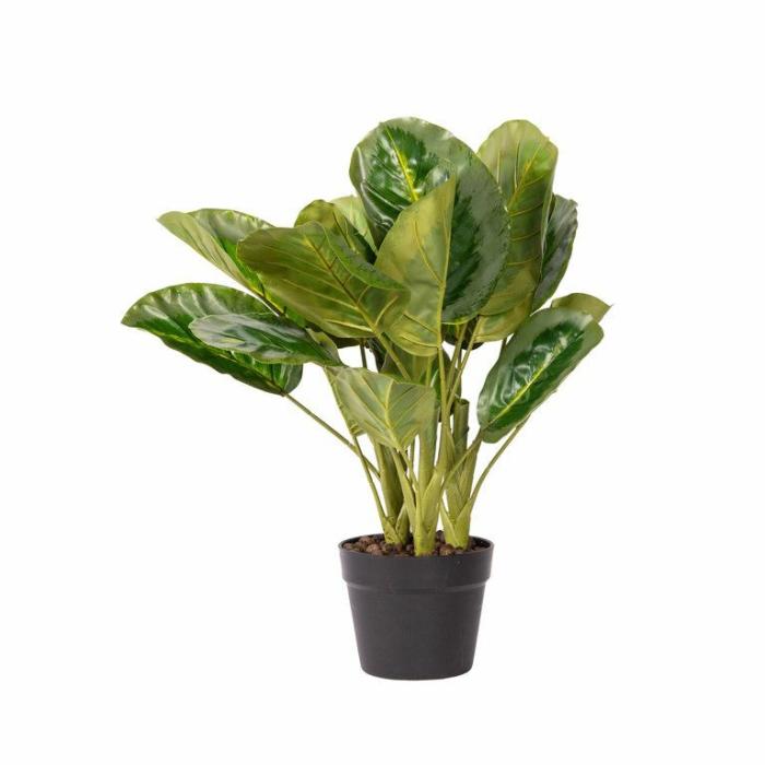 Artificial Plants & Flowers |  Artificial Calathea Potted Artificial Plants & Flowers Artificial Plants & Flowers