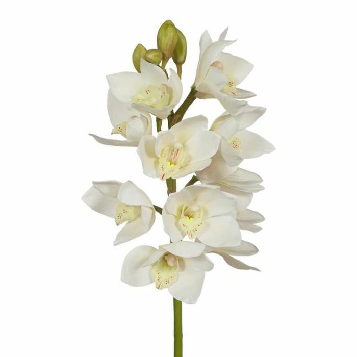 Artificial Plants & Flowers |  Artificial Cymbidium Orchid White Artificial Plants & Flowers Artificial Plants & Flowers