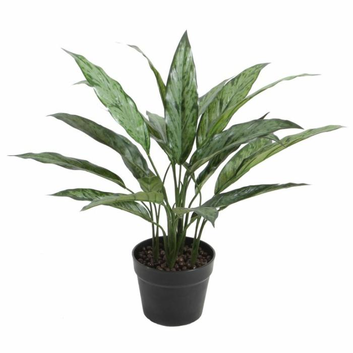 Artificial Plants & Flowers |  Artificial Dracaena Artificial Plants & Flowers Artificial Plants & Flowers