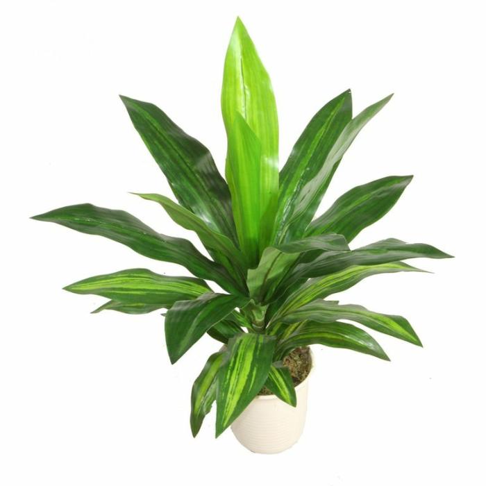 Artificial Plants & Flowers |  Artificial Dracaena Artificial Plants & Flowers Artificial Plants & Flowers