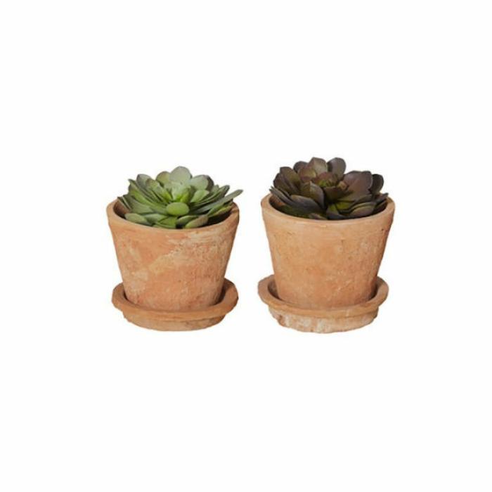 Artificial Plants & Flowers |  Artificial Echeveria Pot Artificial Plants & Flowers Artificial Plants & Flowers