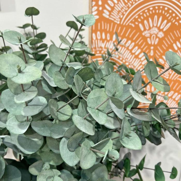 Artificial Plants & Flowers |  Artificial Eucalyptus Silver Dollar Forest Green Artificial Plants & Flowers Artificial Plants & Flowers