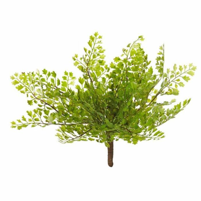 Artificial Plants & Flowers |  Artificial Maidenhair Fern Artificial Plants & Flowers Artificial Plants & Flowers