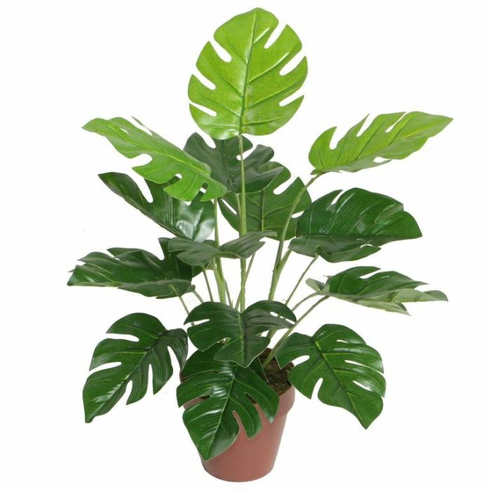 Artificial Plants & Flowers |  Artificial Monstera Artificial Plants & Flowers Artificial Plants & Flowers