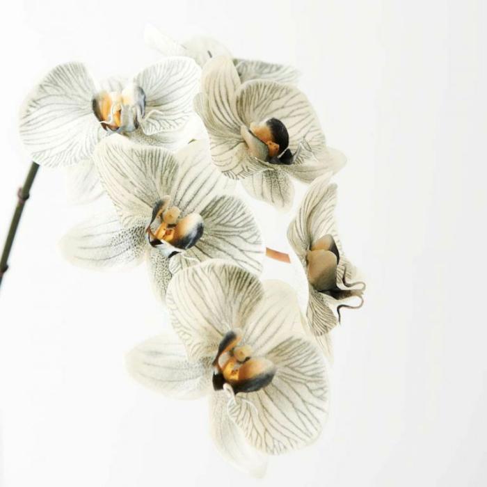 Artificial Plants & Flowers |  Artificial Phalaenopsis Orchid Grey Artificial Plants & Flowers Artificial Plants & Flowers