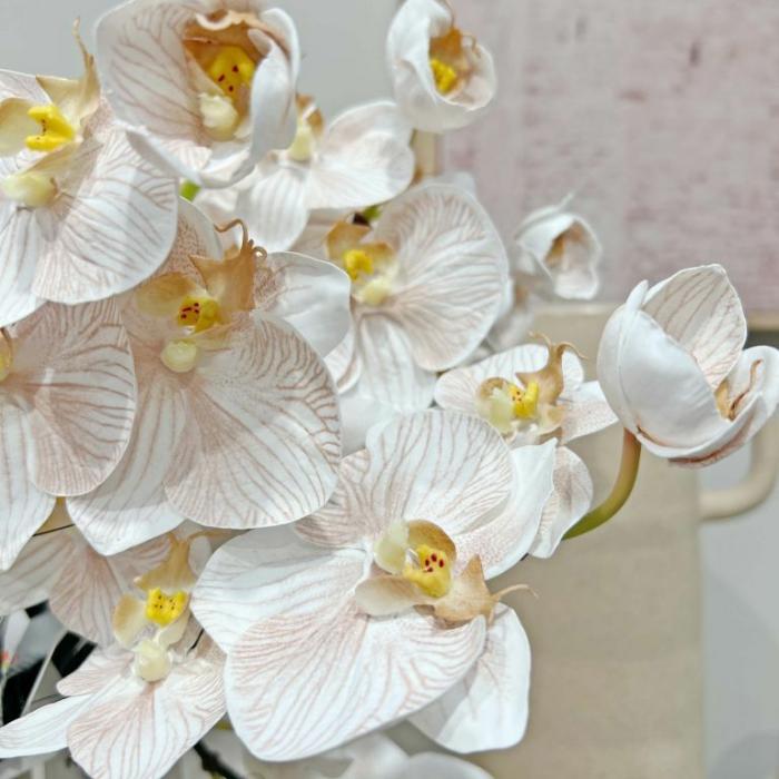 Artificial Plants & Flowers |  Artificial Phalaenopsis Orchid Latte Artificial Plants & Flowers Artificial Plants & Flowers