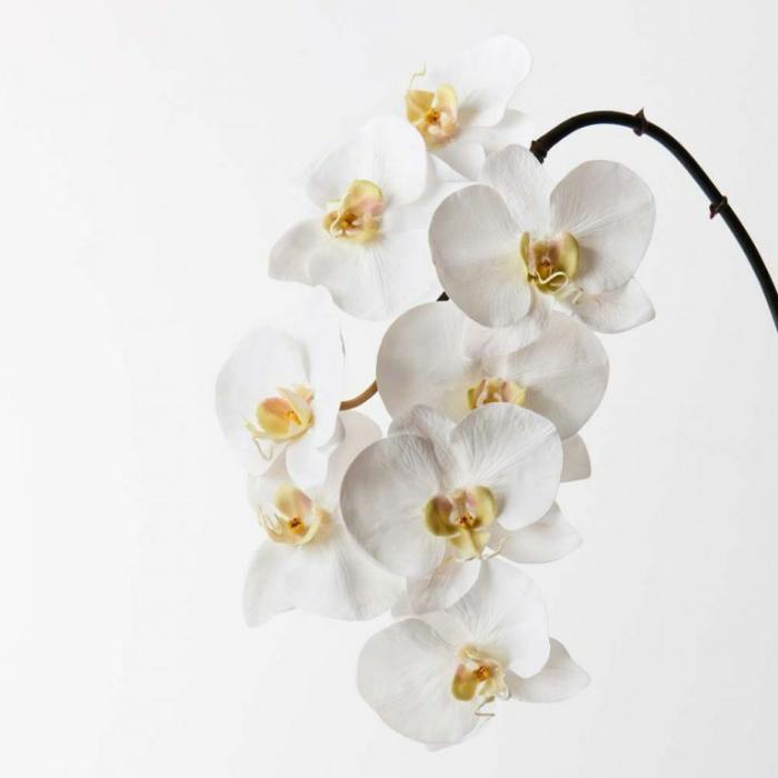 Artificial Plants & Flowers |  Artificial Phalaenopsis Orchid White Artificial Plants & Flowers Artificial Plants & Flowers