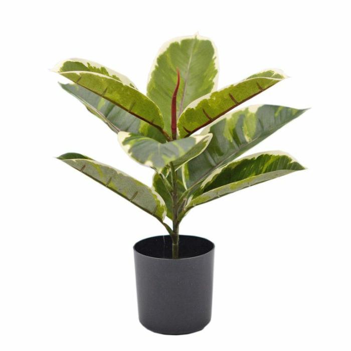 Artificial Plants & Flowers |  Artificial Potted Ficus Varigated Plant Artificial Plants & Flowers Artificial Plants & Flowers