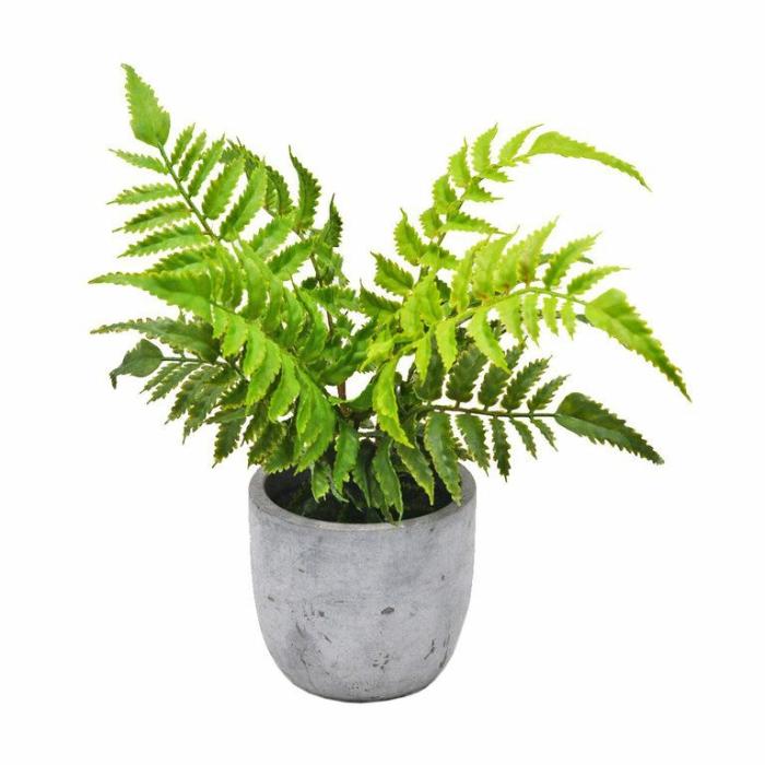 Artificial Plants & Flowers |  Artificial Potted Leather Fern Artificial Plants & Flowers Artificial Plants & Flowers