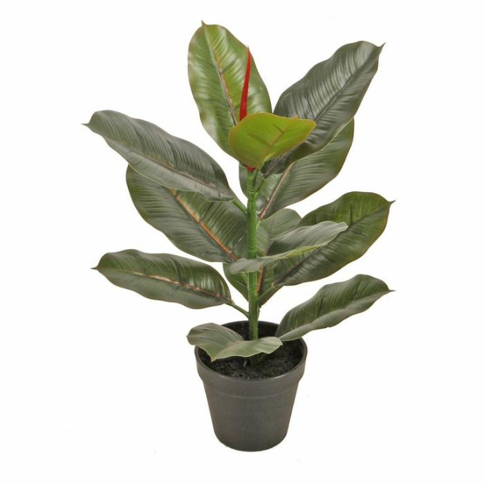 Artificial Plants & Flowers |  Artificial Potted Rubber Plant Artificial Plants & Flowers Artificial Plants & Flowers