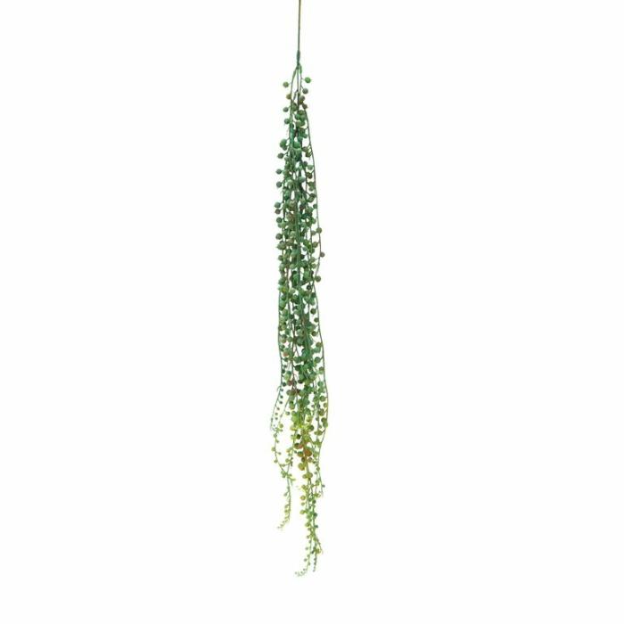 Artificial Plants & Flowers |  Artificial String Of Pearls Artificial Plants & Flowers Artificial Plants & Flowers