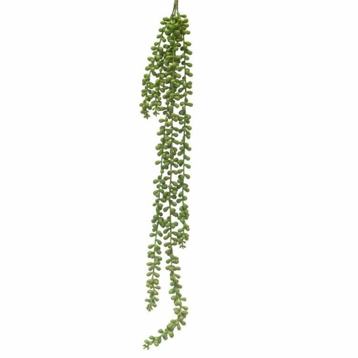 Artificial Plants & Flowers |  Artificial String Of Pearls Artificial Plants & Flowers Artificial Plants & Flowers