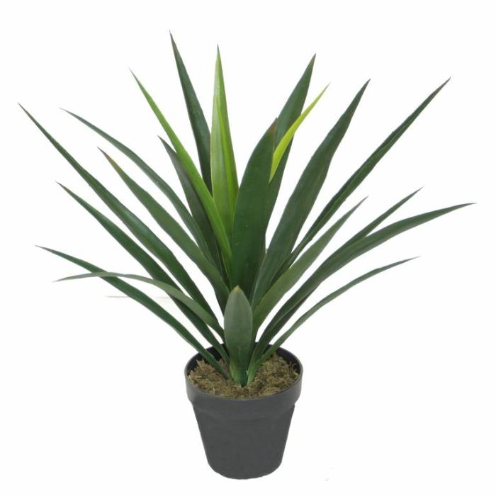 Artificial Plants & Flowers |  Artificial Yucca Artificial Plants & Flowers Artificial Plants & Flowers