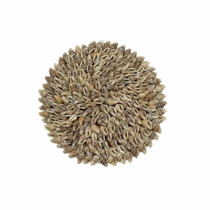 Home Accessories |  Coaster Nassa Shell Natural Home Accessories Home Accessories