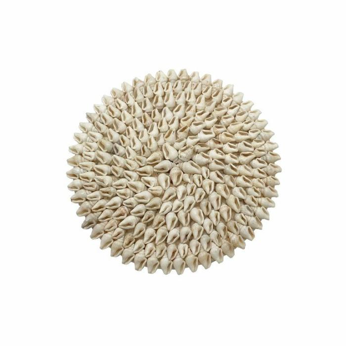 Home Accessories |  Coaster Nassa Shell White Home Accessories Home Accessories