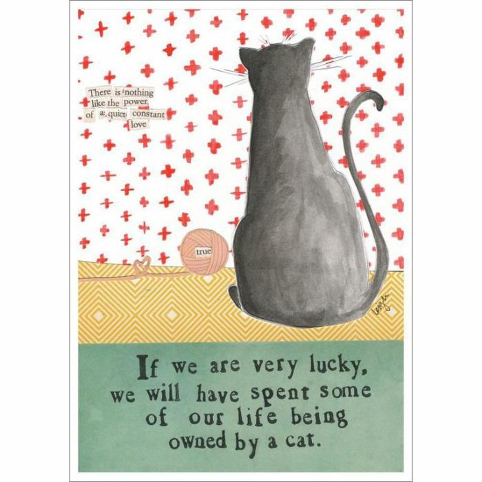 Home Accessories |  Loved By A Cat Card Home Accessories Home Accessories