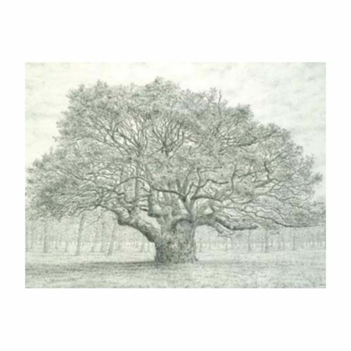 Home Accessories |  Oak Tree Card Home Accessories Home Accessories