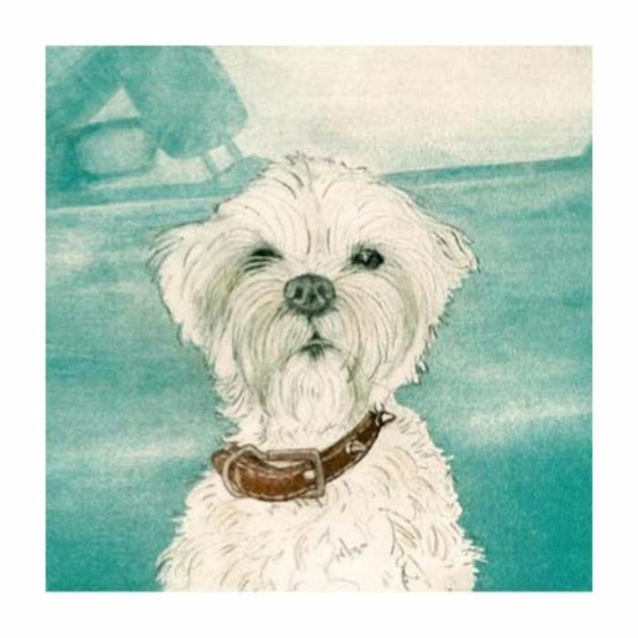 Home Accessories |  Puppy Card Home Accessories Home Accessories