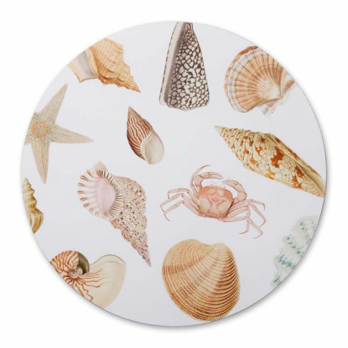 Home Accessories |  Shell Collection Placemat Set Of 4 Home Accessories Home Accessories