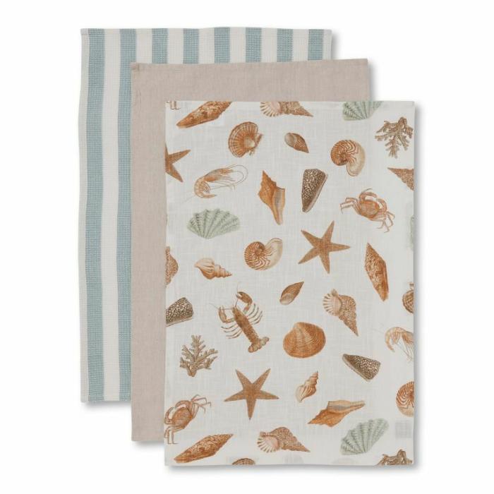 Home Accessories |  Shell Collection Tea Towel Set Of 3 Home Accessories Home Accessories