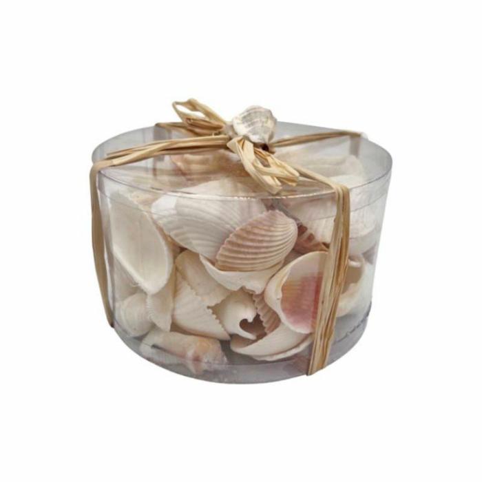 Home Accessories |  Shell Pack Assorted White Home Accessories Home Accessories