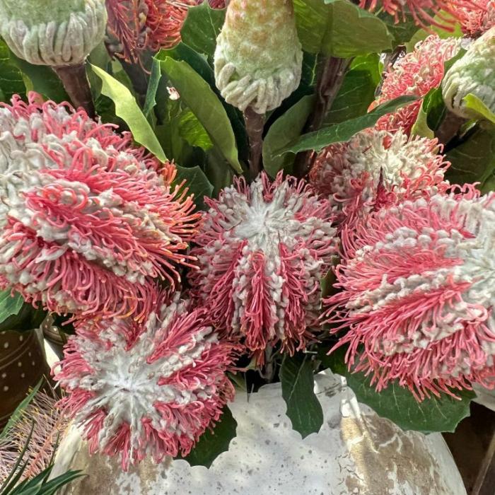 Artificial Plants & Flowers |  Artificial Banksia Spray Pink Artificial Plants & Flowers Artificial Plants & Flowers