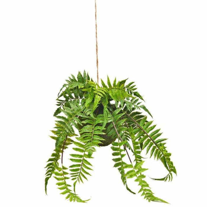 Artificial Plants & Flowers |  Artificial Kokedama Macho Fern Artificial Plants & Flowers Artificial Plants & Flowers